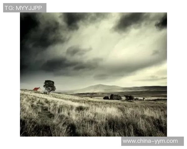 揭秘足坛巨星爱人背后的故事她们如何影响球员赛场与人生选择